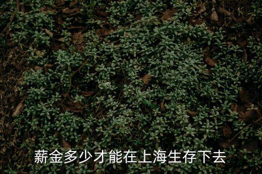 上海市年薪十萬能生存，薪金多少才能在上海生存下去