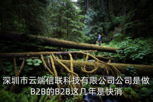 深圳市云端信聯(lián)科技有限公司公司是做B2B的B2B這幾年是快消