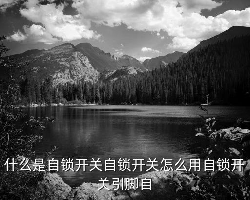 什么是自鎖開(kāi)關(guān)自鎖開(kāi)關(guān)怎么用自鎖開(kāi)關(guān)引腳自