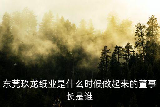 東莞玖龍紙業(yè)是什么時候做起來的董事長是誰