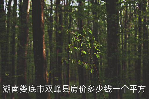 湖南婁底市雙峰縣房價多少錢一個平方