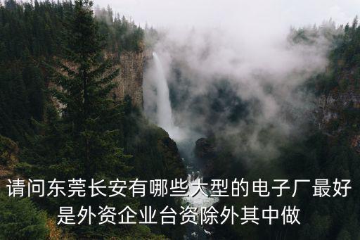 請問東莞長安有哪些大型的電子廠最好是外資企業(yè)臺(tái)資除外其中做