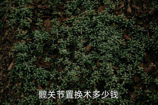 髖關節置換術多少錢
