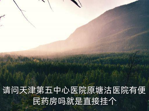 請問天津第五中心醫(yī)院原塘沽醫(yī)院有便民藥房嗎就是直接掛個