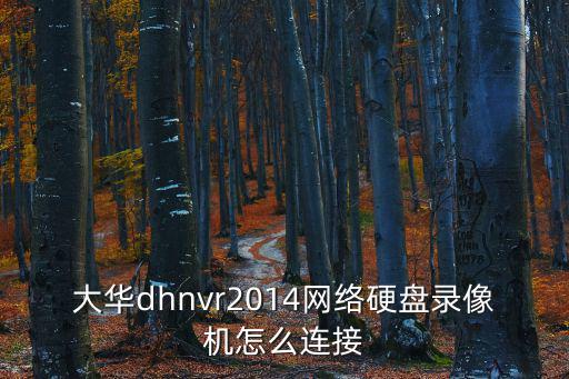 大華dhnvr2014網(wǎng)絡(luò)硬盤錄像機怎么連接