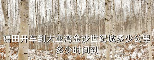 福田開車到大亞灣金沙世紀城多少公里多少時間到
