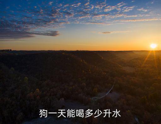 狗一天能喝多少升水