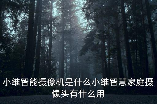 小維智能科技有限公司怎么樣，小維智能攝像機是什么小維智慧家庭攝像頭有什么用