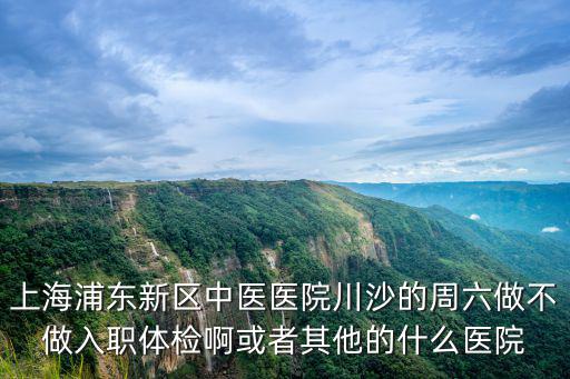 上海浦東新區中醫醫院川沙的周六做不做入職體檢啊或者其他的什么醫院
