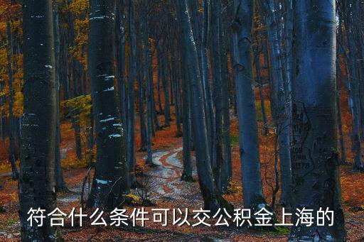 符合什么條件可以交公積金上海的