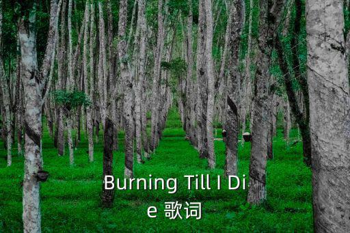 Burning Till I Die 歌詞