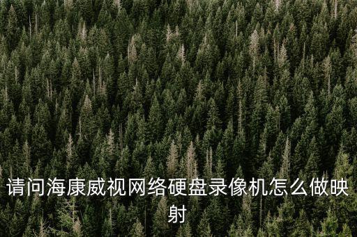 請問海康威視網絡硬盤錄像機怎么做映射
