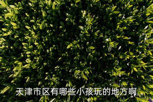 天津市區(qū)有哪些小孩玩的地方啊