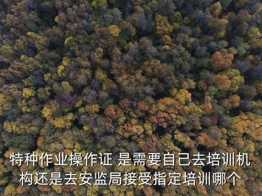 特種作業(yè)操作證 是需要自己去培訓(xùn)機(jī)構(gòu)還是去安監(jiān)局接受指定培訓(xùn)哪個(gè)