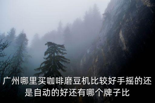 廣州哪里買咖啡磨豆機比較好手搖的還是自動的好還有哪個牌子比