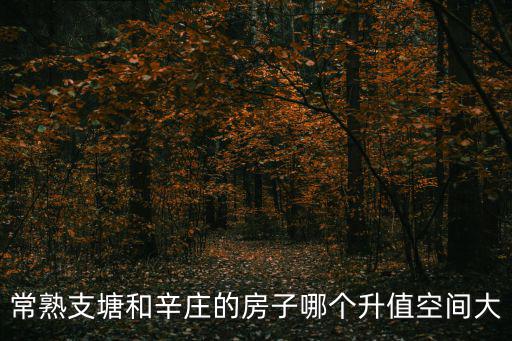 常熟支塘和辛莊的房子哪個升值空間大