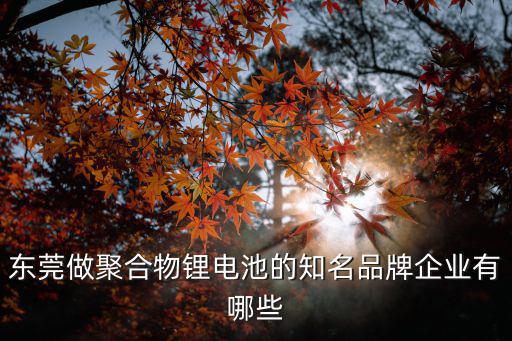 東莞做聚合物鋰電池的知名品牌企業有哪些