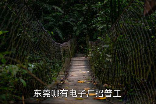 東莞哪有電子廠招普工