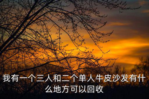上海市那里有回收皮沙發(fā)，哪里有回收舊皮沙發(fā)