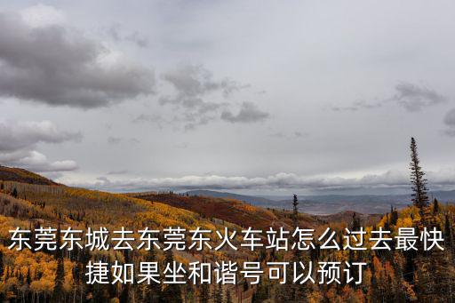 東莞東城去東莞東火車站怎么過去最快捷如果坐和諧號可以預訂