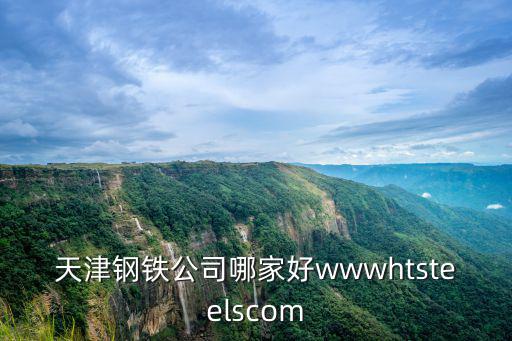 天津市建龍鋼鐵有限公司，天津鋼鐵公司哪家好wwwhtsteelscom