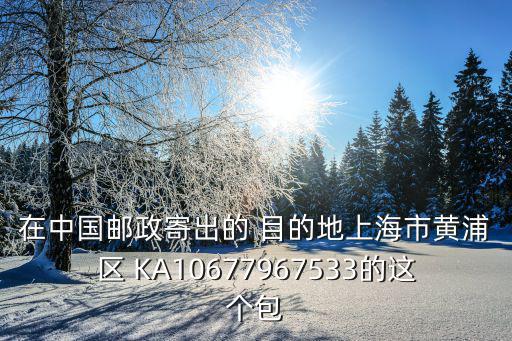 在中國郵政寄出的 目的地上海市黃浦區 KA10677967533的這個包