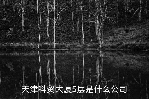 天津科貿大廈5層是什么公司