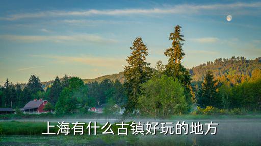 上海市哪個古鎮最好玩的地方，上海有什么古鎮好玩的地方