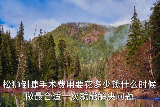 松獅倒睫手術費用要花多少錢什么時候做最合適一次就能解決問題