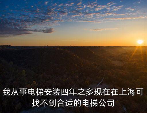 我從事電梯安裝四年之多現在在上海可找不到合適的電梯公司