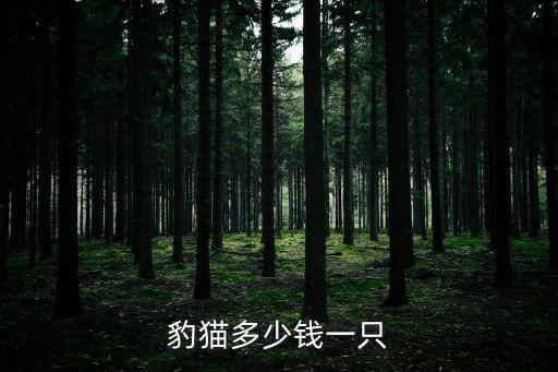 亞豹貓多少錢，豹貓多少錢一只