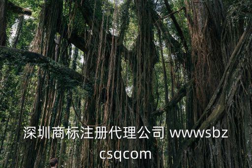 深圳商標注冊代理公司 wwwsbzcsqcom