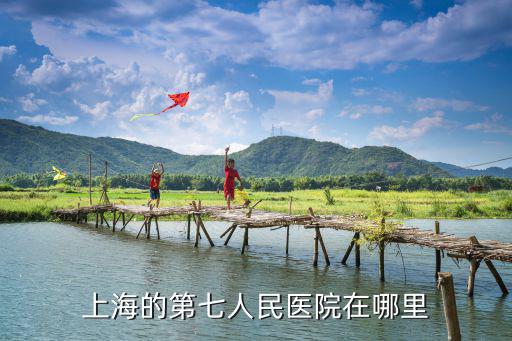 上海的第七人民醫院在哪里