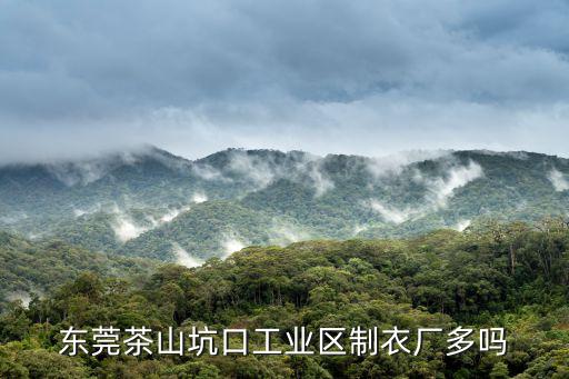 東莞茶山鎮(zhèn)什么廠最多，東莞茶山玩具廠哪家最大