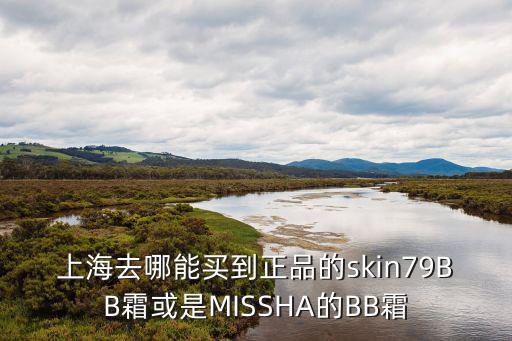 上海市紅橋區臨平路251號，上海去哪能買到正品的skin79BB霜或是MISSHA的BB霜