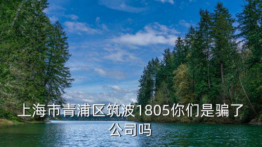 上海市青浦區筑波1805你們是騙了公司嗎