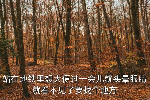 廣州地鐵想拉屎，男童在廣州地鐵車廂當眾大便 你怎么看