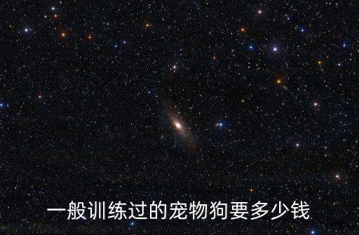 訓練好的泰迪多少錢，一只受過訓練的狗狗大概要多少錢就是會自己上廁所幫主人一些忙