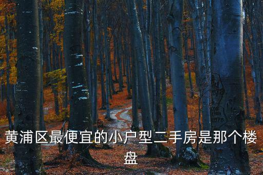 黃浦區最便宜的小戶型二手房是那個樓盤