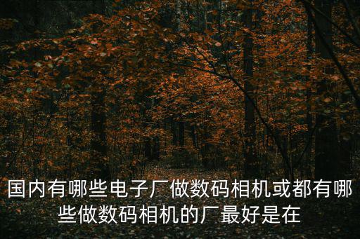 國內有哪些電子廠做數碼相機或都有哪些做數碼相機的廠最好是在