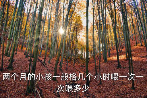 兩個(gè)月的小孩一般格幾個(gè)小時(shí)喂一次一次喂多少