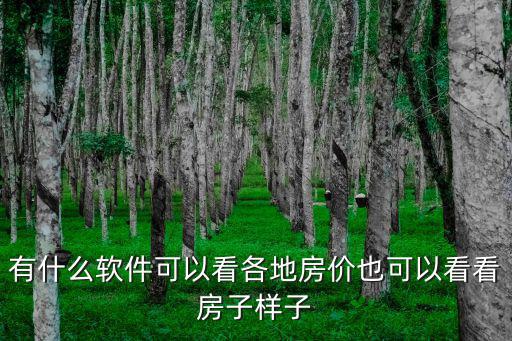 有什么軟件可以看各地房價也可以看看房子樣子