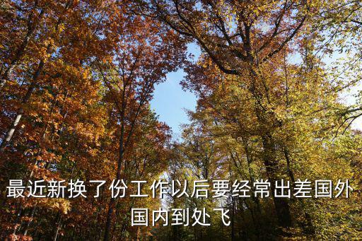 最近新?lián)Q了份工作以后要經(jīng)常出差國外國內(nèi)到處飛