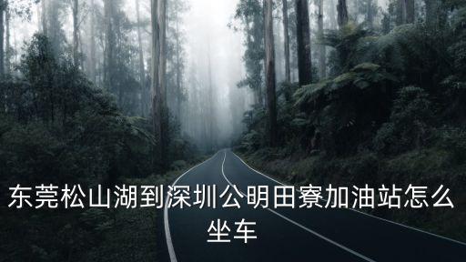 東莞 松山湖 加油站，東莞松山湖到深圳公明田寮加油站怎么坐車