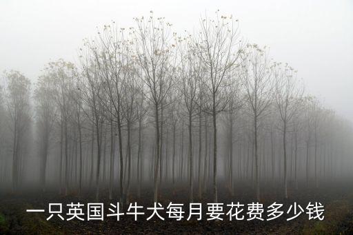 一只英國斗牛犬每月要花費多少錢