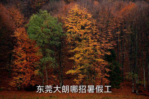 東莞大朗哪招暑假工