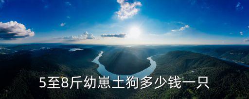 5至8斤幼崽土狗多少錢一只