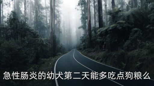 急性腸炎的幼犬第二天能多吃點(diǎn)狗糧么
