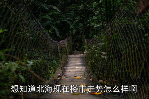 預(yù)計(jì)北海房?jī)r(jià)走勢(shì)如何，北海現(xiàn)在的房?jī)r(jià)怎樣