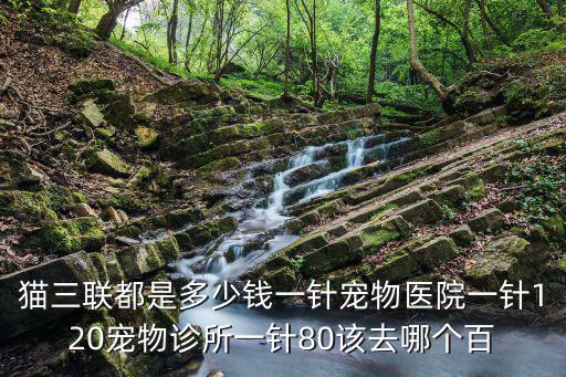 貓三聯都是多少錢一針寵物醫院一針120寵物診所一針80該去哪個百
